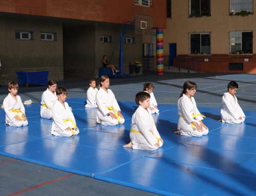 Activitats extraescolars al Balmes