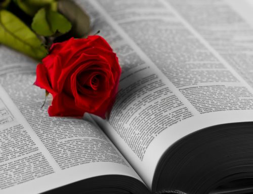 Un Sant Jordi ple de solidaritat i comunitat al Balmes