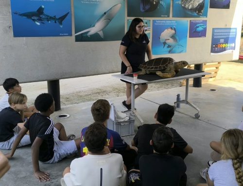 1r d’ESO visita el CRAM per aprendre a protegir els nostres mars